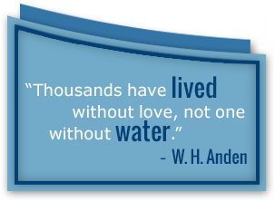 W.H. Anden quote